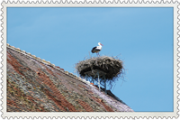 storks nest-church